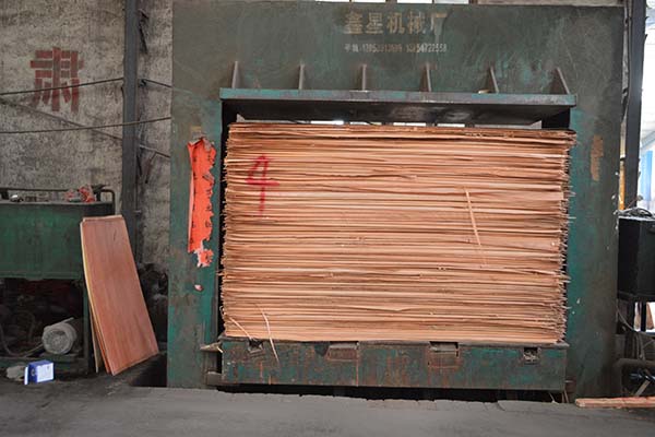 ����Ȼ���Ӱ����a(ch��n)�O(sh��)��