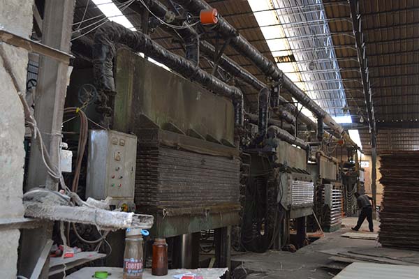 ����Ȼ���Ӱ����a(ch��n)�O(sh��)��