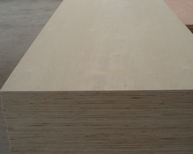 ���γ��Ͷ��Ӱ�đ�(y��ng)����r