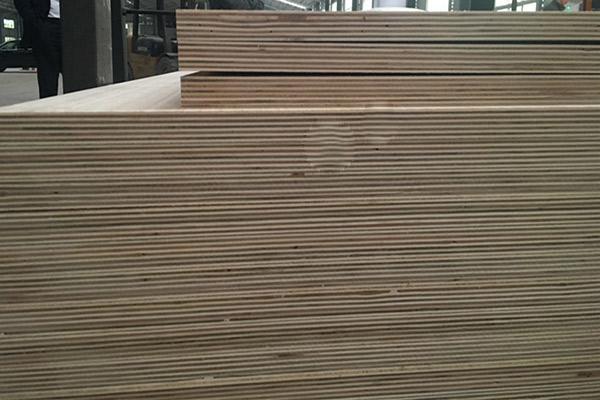 ���γ��Ͷ��Ӱ�