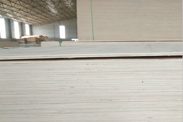 ��ĵ��xȡҲ�Ǳ��^����Ķ��Ӱ�S���������|(zh��)���������