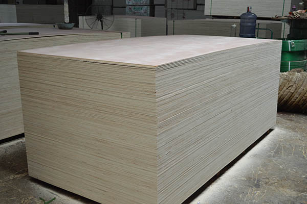 ���γ��Ͷ��Ӱ�