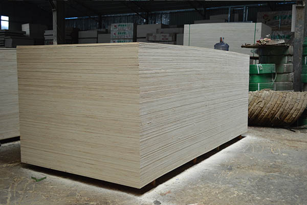 ���γ��Ͷ��Ӱ�