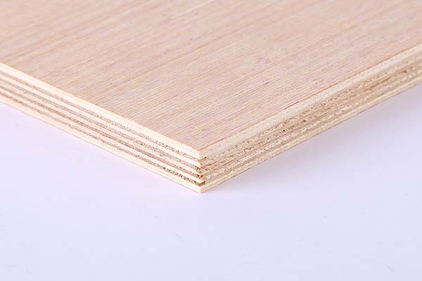 ��α�����Ӱ��ܳ�