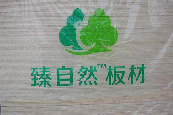 ��ȼ�z�ϰ�֎��