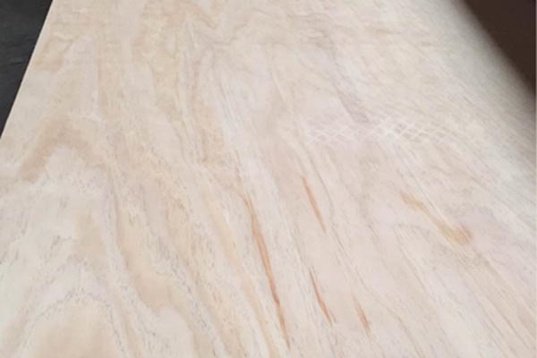 ���γ��Ͷ��Ӱ�