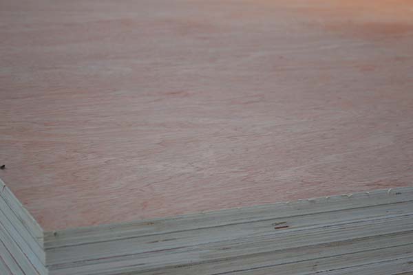 ���Ӱ��ڃ���rҪ���]��Щ���}��