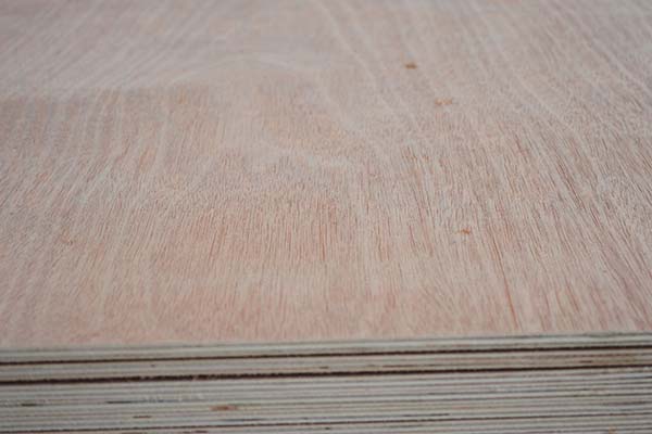 ���Ӱ����Ҿ���ô�ӣ�