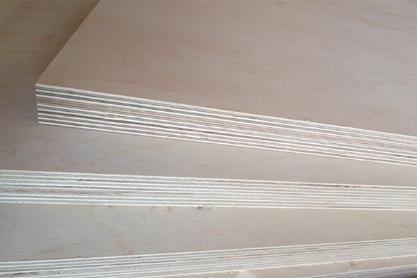 ���Ӱ�ı��B(y��ng)�c�N��ע�����