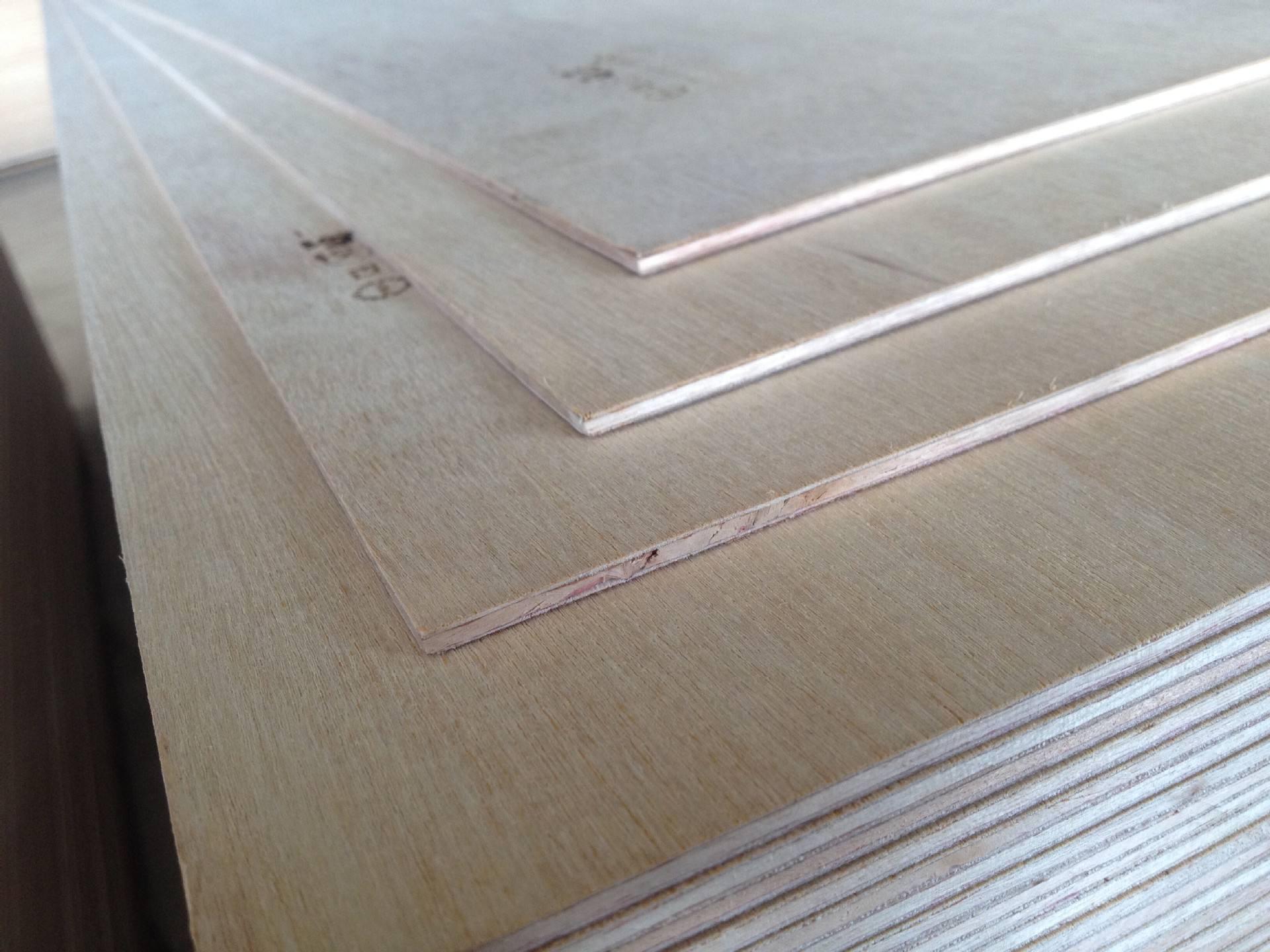 ���ϰ�S�ҽ������ϰ���α��B(y��ng)