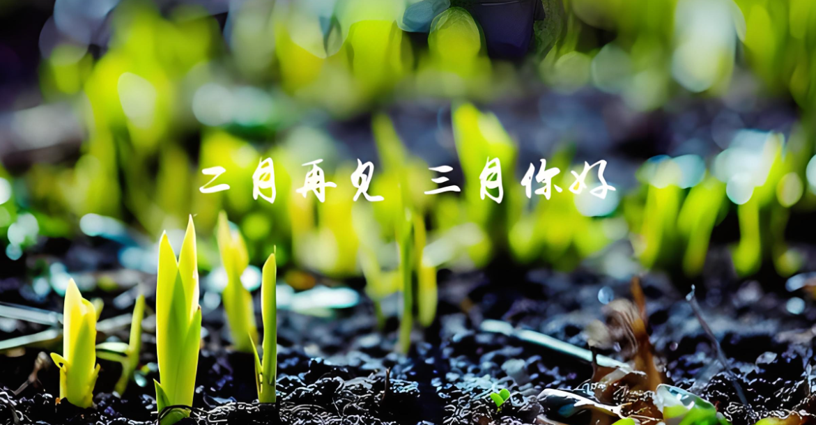 ���ϰ�S��|��ʢľ�I(y��)�gӭ�V��͑�(h��)��ԃ(x��n)��